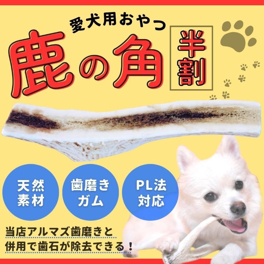 日本鹿の角 4対セット+ 1 本（9本セット） No.1 鹿の角 小型犬〜中型犬用 日本鹿 約12cm 4分の1縦割り 歯石
