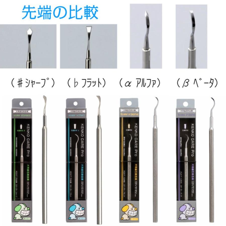 犬 猫 歯石取り 歯石除去 歯磨き プロ仕様 スケーラー アルファ 1本｜curette｜03