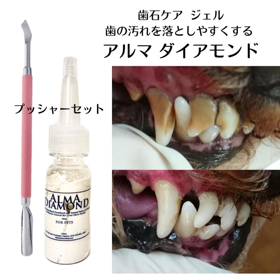 犬 猫 歯石ケア 歯磨きジェル ダイアモンド（30ml）プッシャー セット