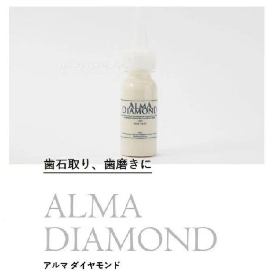 犬 猫 歯石取り 歯石除去 歯磨き スターターキット2個セット