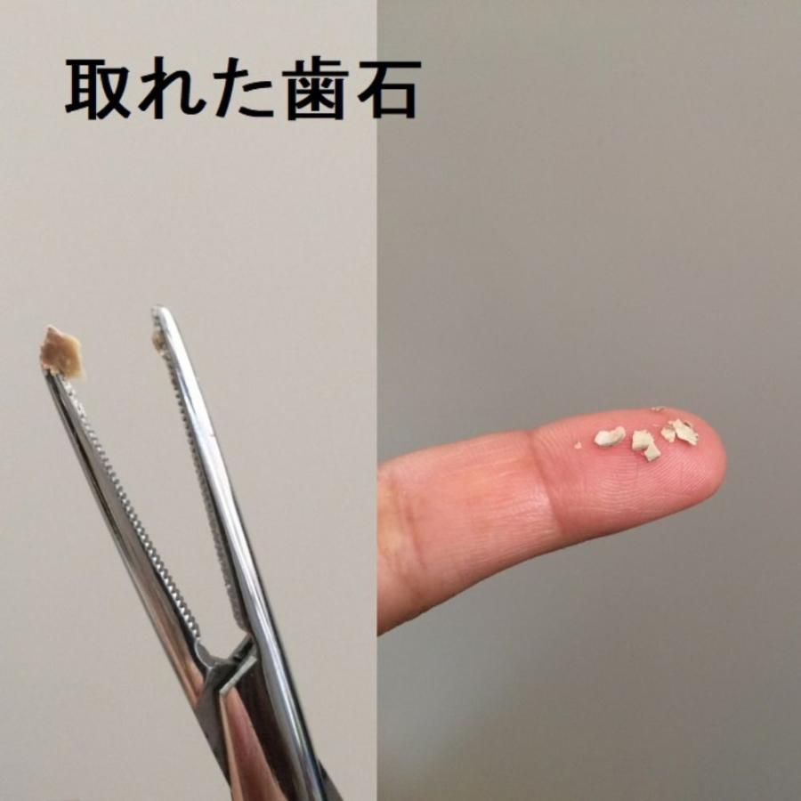 犬 猫 歯石取り 歯石除去 歯磨き スターターキット2個セット セット