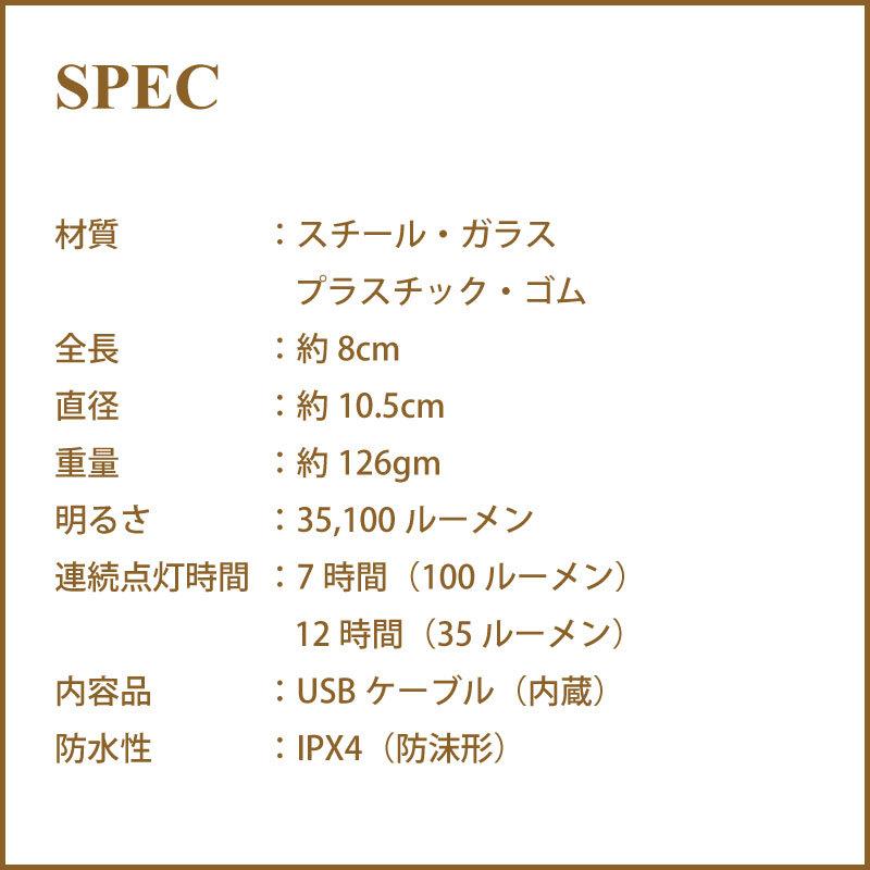 ベアボーンズ エジソン ペンダント ストリング ライト ブロンズ ランタン 3連 ストリングライト リビング BAREBONES LIVING Bronze LIV-265 | BAREBONES | 06