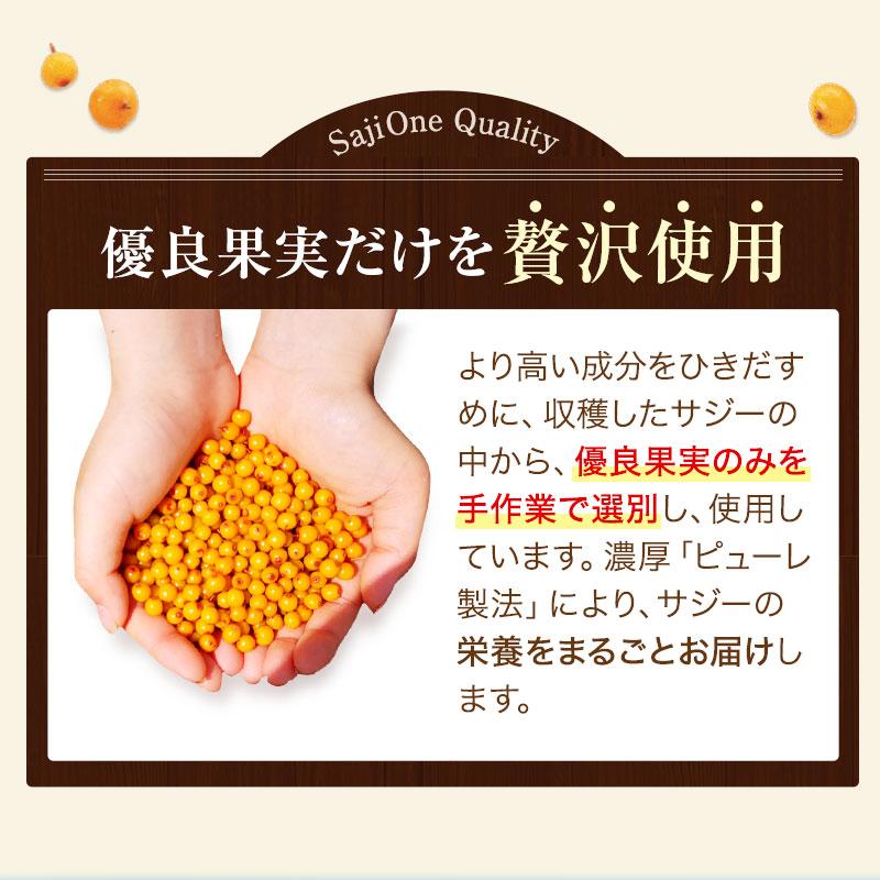 サジージュース 300ml サジー SajiOne 100％ 鉄分補給 ビタミンC  有機JAS認定 サジーベリー オーガニック ジュース 健康 美容 | SajiOne | 12