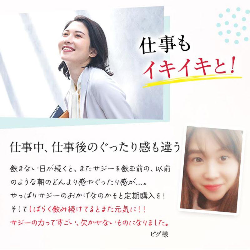 サジージュース 300ml サジー SajiOne 100％ 鉄分補給 ビタミンC  有機JAS認定 サジーベリー オーガニック ジュース 健康 美容 | SajiOne | 13