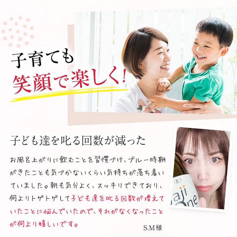 サジージュース 300ml サジー SajiOne 100％ 鉄分補給 ビタミンC  有機JAS認定 サジーベリー オーガニック ジュース 健康 美容 | SajiOne | 14