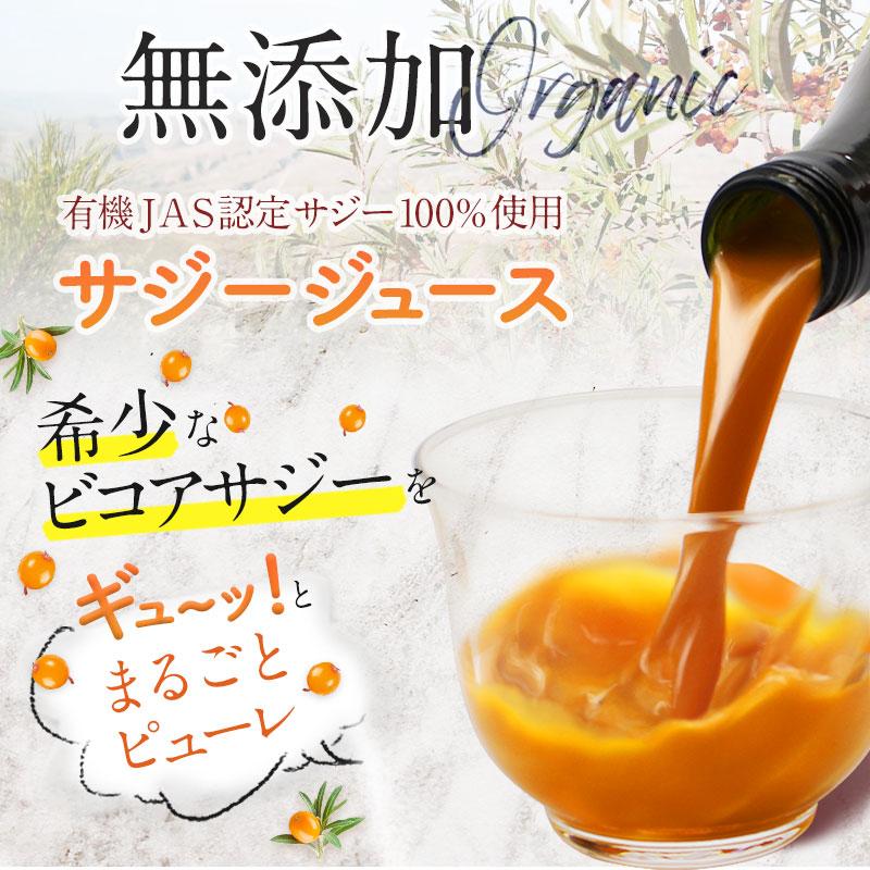 サジージュース 300ml サジー SajiOne 100％ 鉄分補給 ビタミンC  有機JAS認定 サジーベリー オーガニック ジュース 健康 美容 | SajiOne | 05