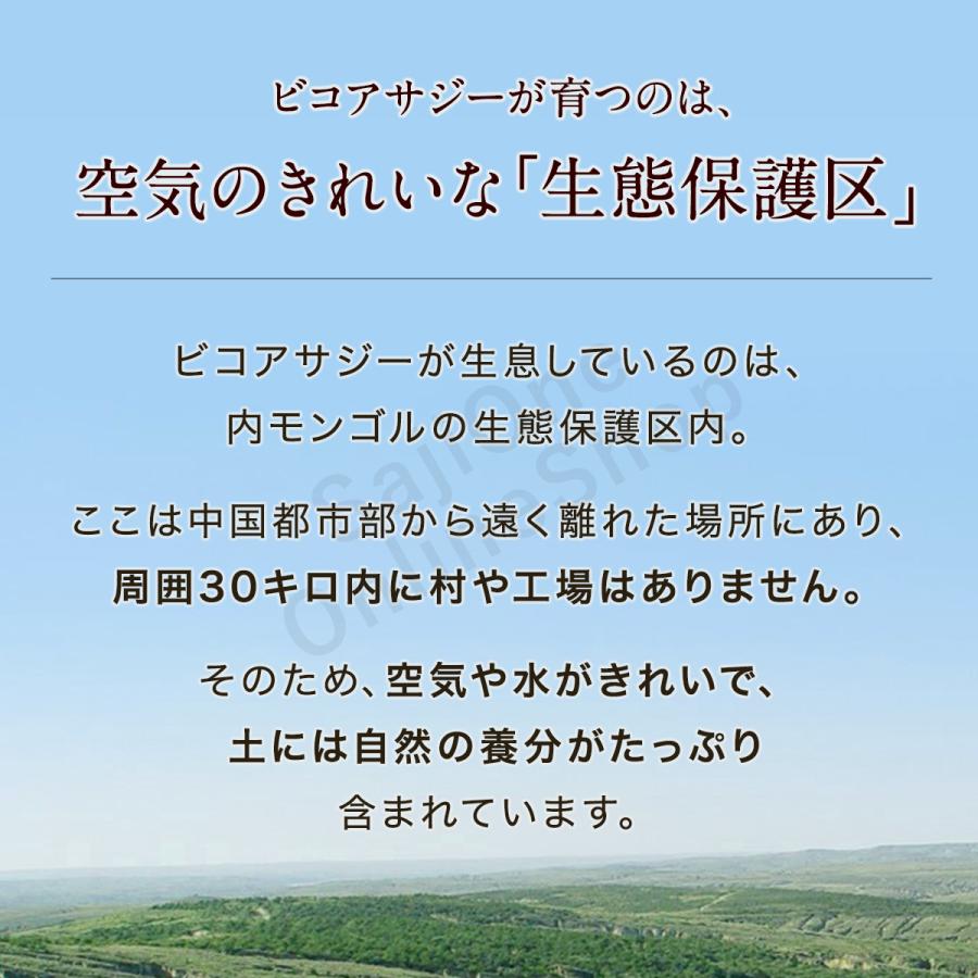サジージュース 飲み比べ 2本セット SajiOneオーガニック すっきり美味しいサジー 鉄分 栄養補給 健康 美容 オレンジ ゆず サジーベリー | SajiOne | 09