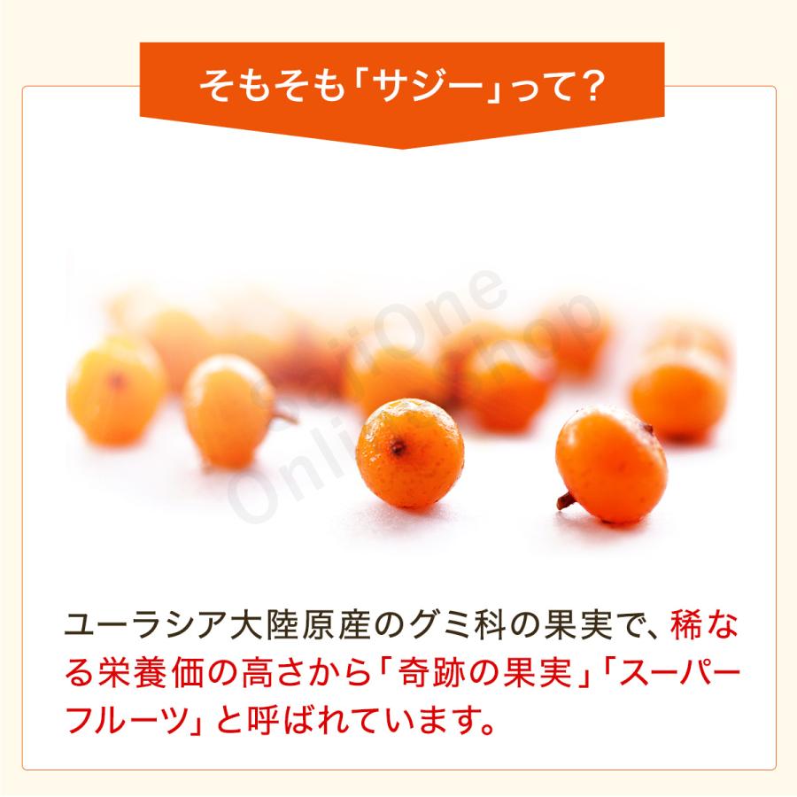 定期購入 サジージュース 900ml×3本セット SajiOne サジー 100％ オーガニック ジュース 鉄分 栄養 美容 健康 ビタミンCの画像