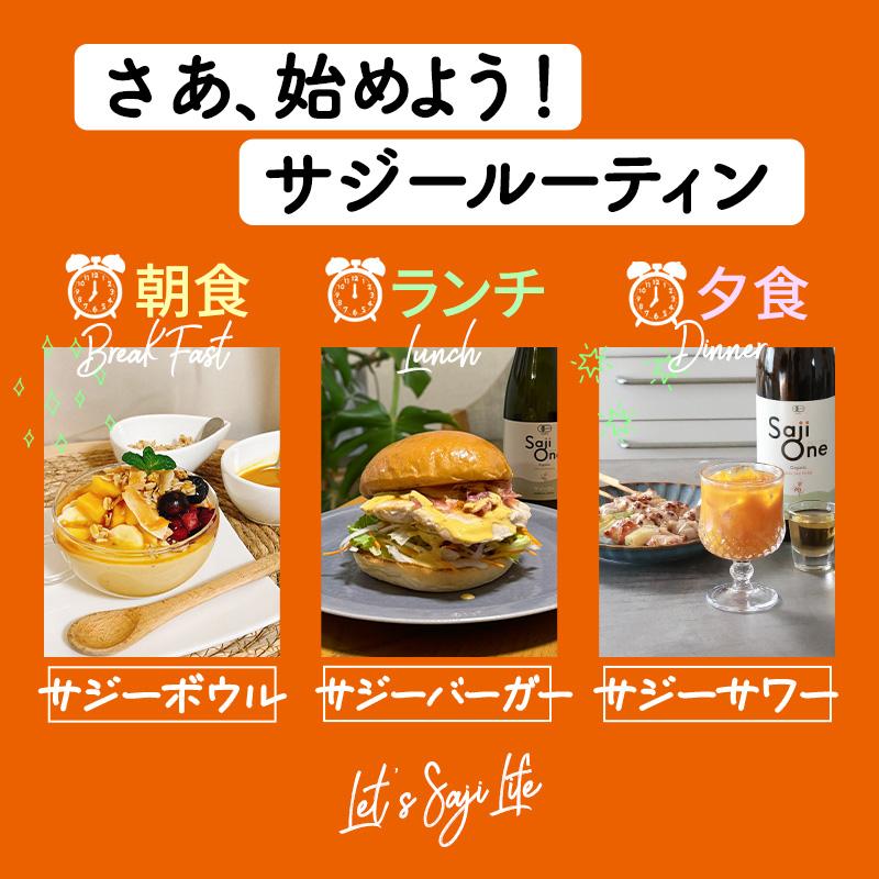 サジージュース SajiOne 300ml 有機JAS認定 サジー サジージュース 黄酸汁 オーガニック100％ ビタミン ジュース 美容 栄養 鉄分 | SajiOne | 13