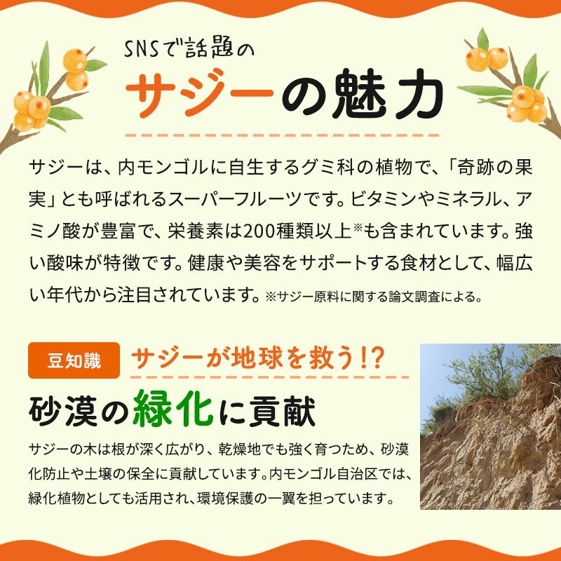 サジージュース SajiOne 300ml 有機JAS認定 サジー サジージュース 黄酸汁 オーガニック100％ ビタミン ジュース 美容 栄養 鉄分 | SajiOne | 14