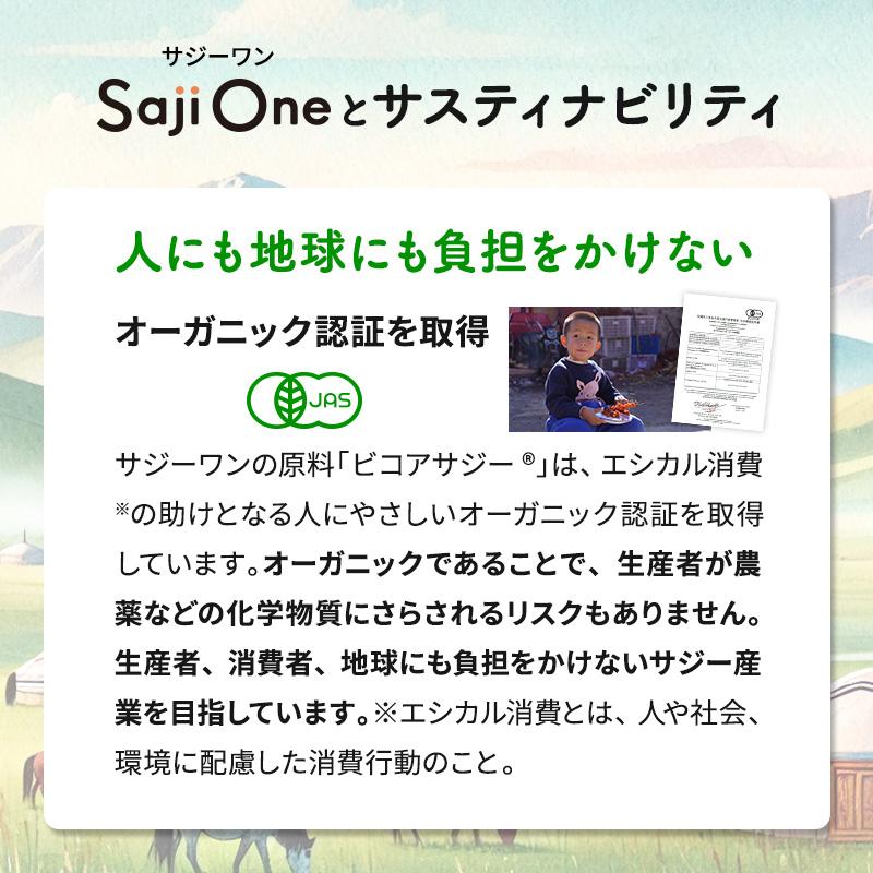 サジージュース SajiOne 300ml 有機JAS認定 サジー サジージュース 黄酸汁 オーガニック100％ ビタミン ジュース 美容 栄養 鉄分 | SajiOne | 15