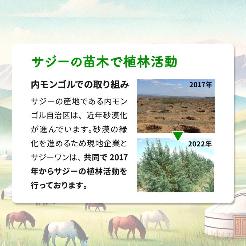 サジージュース SajiOne 300ml 有機JAS認定 サジー サジージュース 黄酸汁 オーガニック100％ ビタミン ジュース 美容 栄養 鉄分 | SajiOne | 16