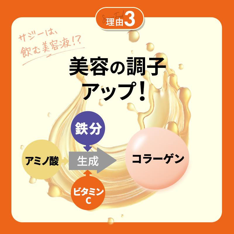 サジージュース SajiOne 300ml 有機JAS認定 サジー サジージュース 黄酸汁 オーガニック100％ ビタミン ジュース 美容 栄養 鉄分 | SajiOne | 09