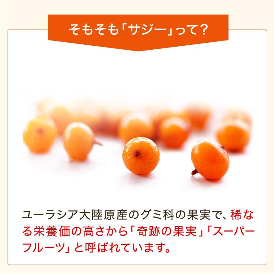 SajiOne（サジーワン） 【クーポンで15%OFF】サジージュース 900ml 3本