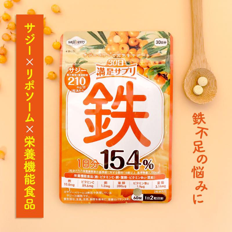 サジーサプリ 鉄サプリ 鉄分 サプリ 美容 健康 60粒 不足 サジーワン 鉄分補給 リポソーム ビタミン 亜鉛 銅 | SajiOne