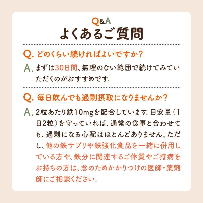 サジーサプリ 鉄サプリ 鉄分 サプリ 美容 健康 60粒 不足 サジーワン 鉄分補給 リポソーム ビタミン 亜鉛 銅 | SajiOne | 14