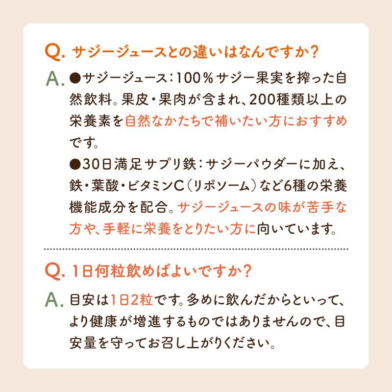 サジーサプリ 鉄サプリ 鉄分 サプリ 美容 健康 60粒 不足 サジーワン 鉄分補給 リポソーム ビタミン 亜鉛 銅 | SajiOne | 15
