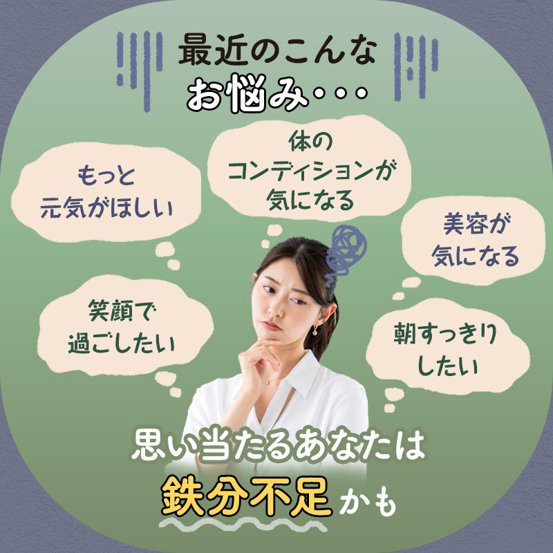 サジーサプリ 鉄サプリ 鉄分 サプリ 美容 健康 60粒 不足 サジーワン 鉄分補給 リポソーム ビタミン 亜鉛 銅 | SajiOne | 02
