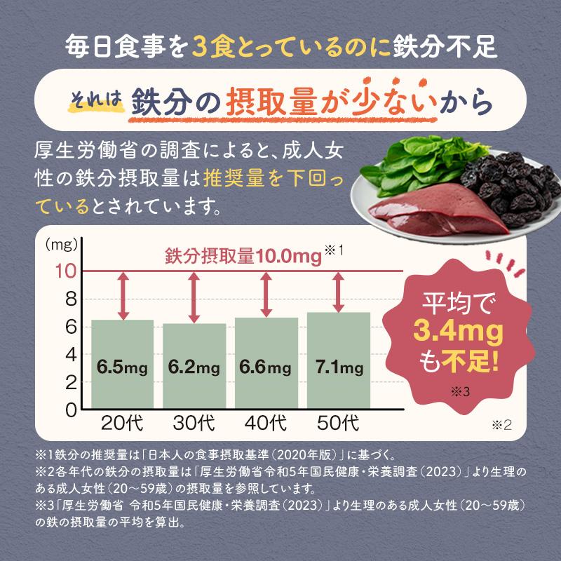 サジーサプリ 鉄サプリ 鉄分 サプリ 美容 健康 60粒 不足 サジーワン 鉄分補給 リポソーム ビタミン 亜鉛 銅 | SajiOne | 03