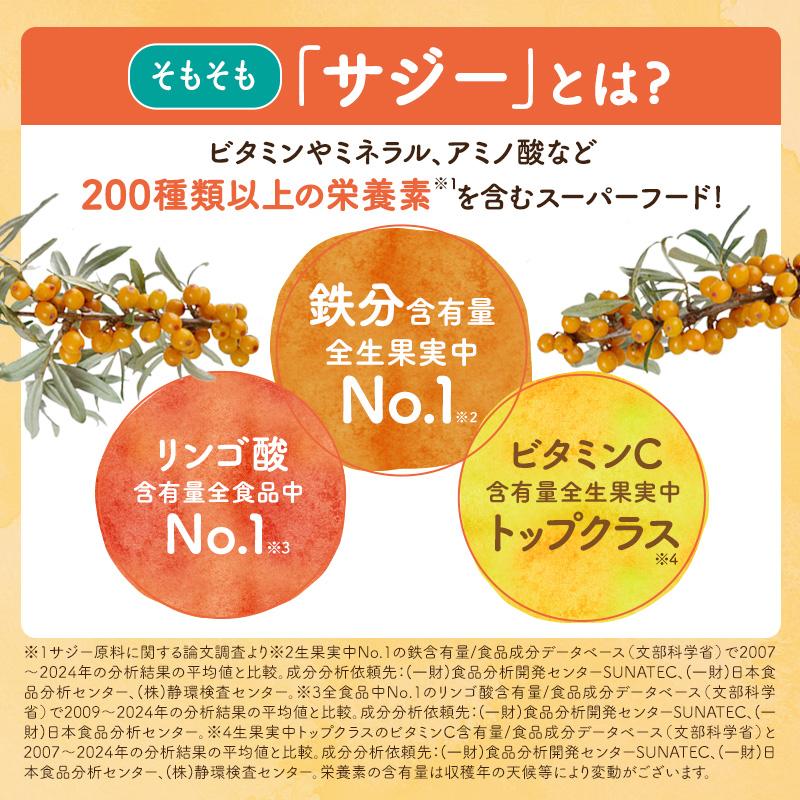 サジーサプリ 鉄サプリ 鉄分 サプリ 美容 健康 60粒 不足 サジーワン 鉄分補給 リポソーム ビタミン 亜鉛 銅 | SajiOne | 05