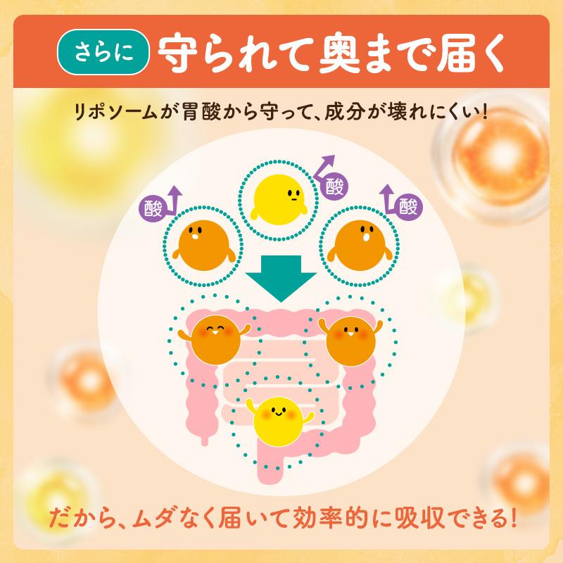 サジーサプリ 鉄サプリ 鉄分 サプリ 美容 健康 60粒 不足 サジーワン 鉄分補給 リポソーム ビタミン 亜鉛 銅 | SajiOne | 07