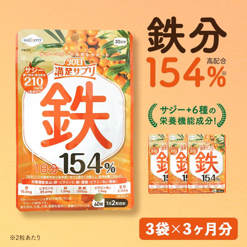 サジーサプリ 3袋 3ヶ月分 鉄サプリ 鉄分 サプリ 美容 健康 60粒 不足 サジーワン 鉄分補給 リポソーム ビタミン 亜鉛 銅 | SajiOne