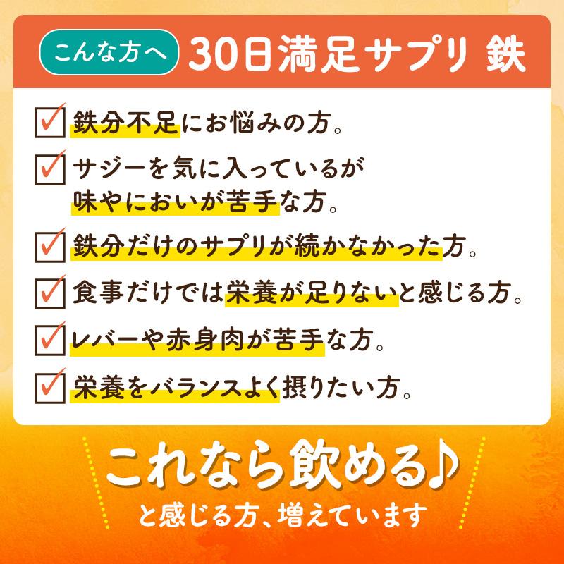 サジーサプリ 3袋 3ヶ月分 鉄サプリ 鉄分 サプリ 美容 健康 60粒 不足 サジーワン 鉄分補給 リポソーム ビタミン 亜鉛 銅 | SajiOne | 11