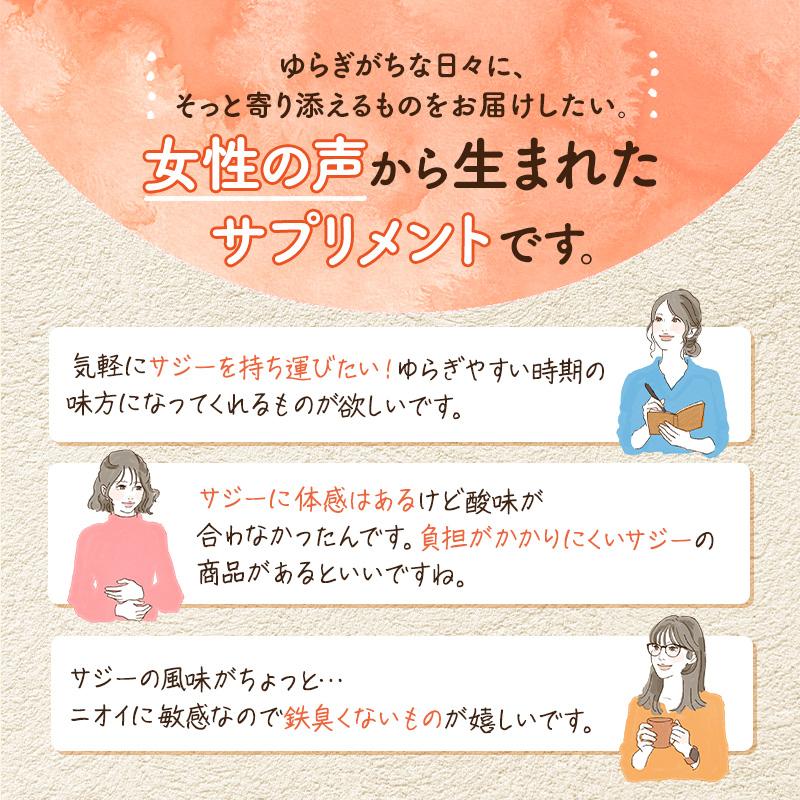 サジーサプリ 3袋 3ヶ月分 鉄サプリ 鉄分 サプリ 美容 健康 60粒 不足 サジーワン 鉄分補給 リポソーム ビタミン 亜鉛 銅 | SajiOne | 12