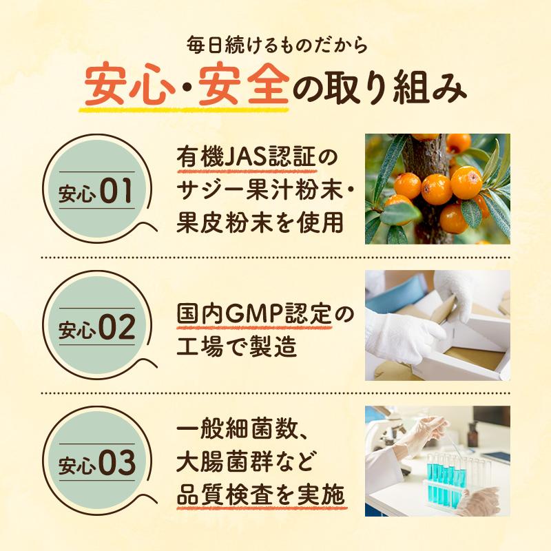 サジーサプリ 3袋 3ヶ月分 鉄サプリ 鉄分 サプリ 美容 健康 60粒 不足 サジーワン 鉄分補給 リポソーム ビタミン 亜鉛 銅 | SajiOne | 13