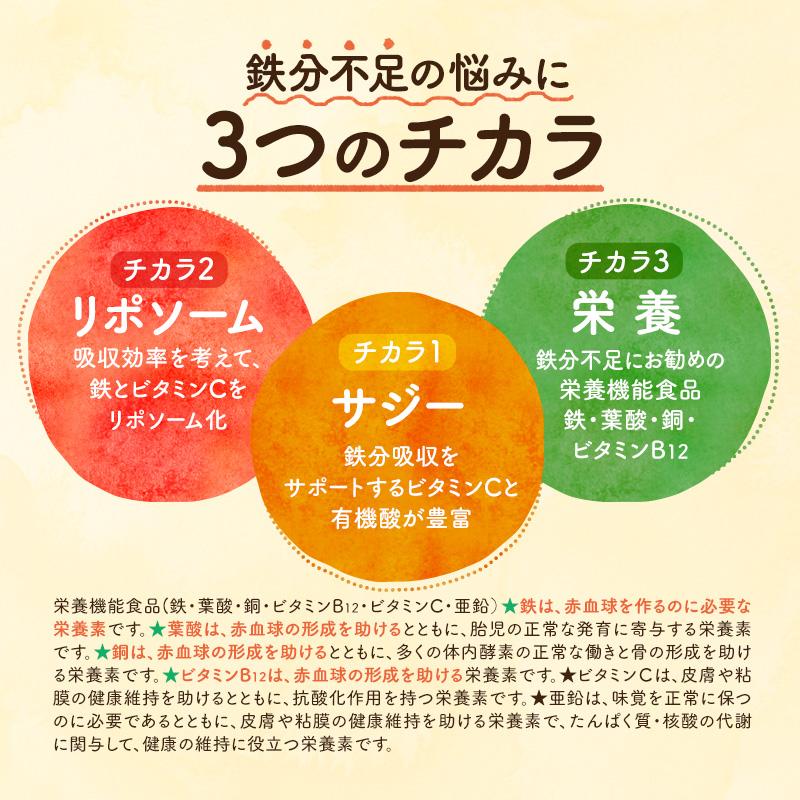 サジーサプリ 3袋 3ヶ月分 鉄サプリ 鉄分 サプリ 美容 健康 60粒 不足 サジーワン 鉄分補給 リポソーム ビタミン 亜鉛 銅 | SajiOne | 01