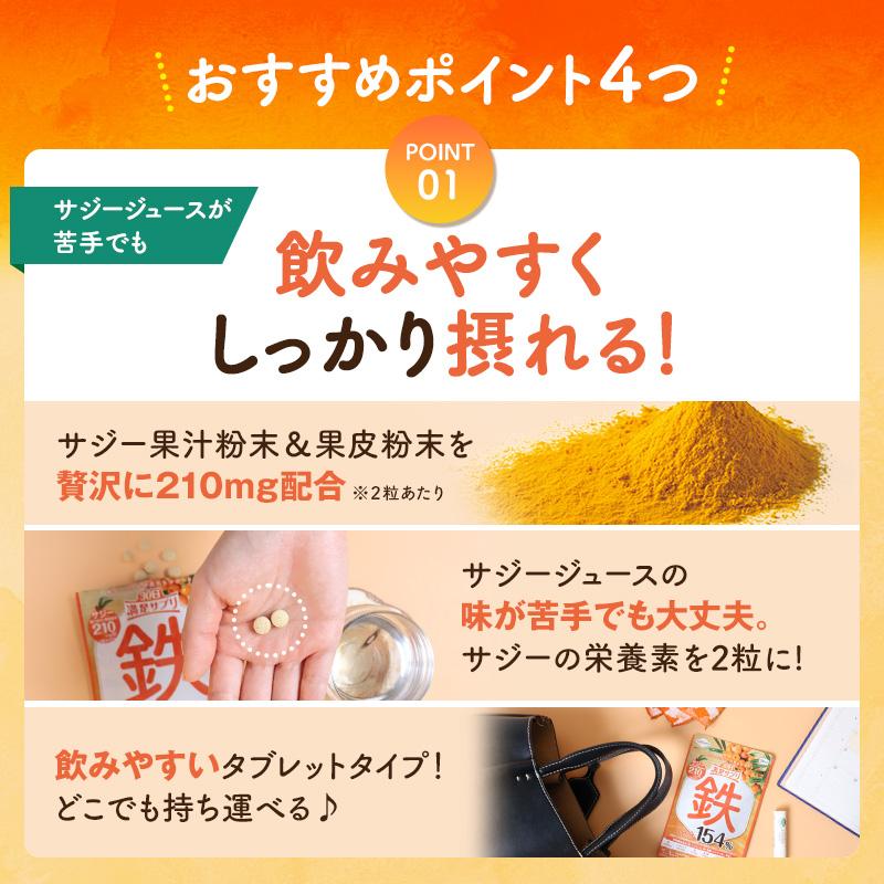 サジーサプリ 3袋 3ヶ月分 鉄サプリ 鉄分 サプリ 美容 健康 60粒 不足 サジーワン 鉄分補給 リポソーム ビタミン 亜鉛 銅 | SajiOne | 04