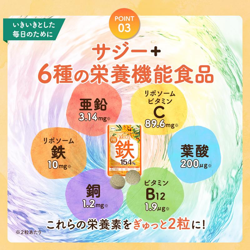 サジーサプリ 3袋 3ヶ月分 鉄サプリ 鉄分 サプリ 美容 健康 60粒 不足 サジーワン 鉄分補給 リポソーム ビタミン 亜鉛 銅 | SajiOne | 08