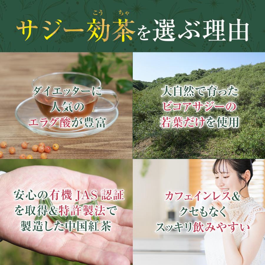 サジー茶 サジー効茶 中国茶 健康 お茶 ドリンク オーガニック ダイエット 飲みやすい ティーバッグ ティー |  | 02