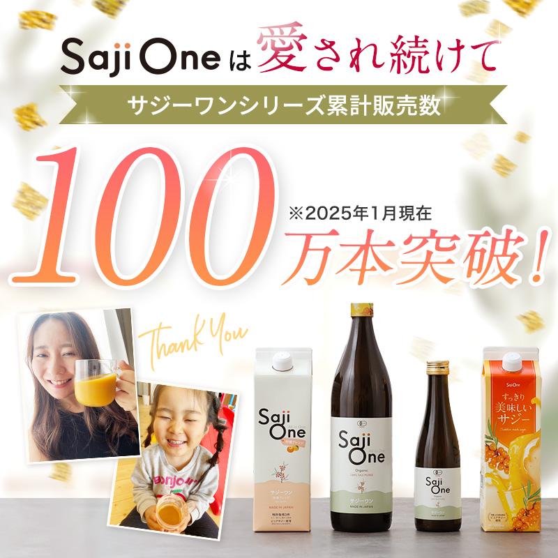 サジージュース 柑橘ブレンド 1000ml 4本セット サジーワン ビタミン 鉄分 オレンジ ジュース 栄養 健康 爆買の画像