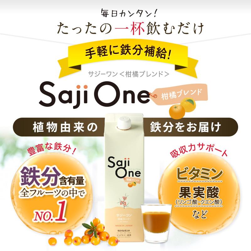 サジージュース 柑橘ブレンド 1000ml 4本セット サジーワン ビタミン 鉄分 オレンジ ジュース 栄養 健康 爆買の画像