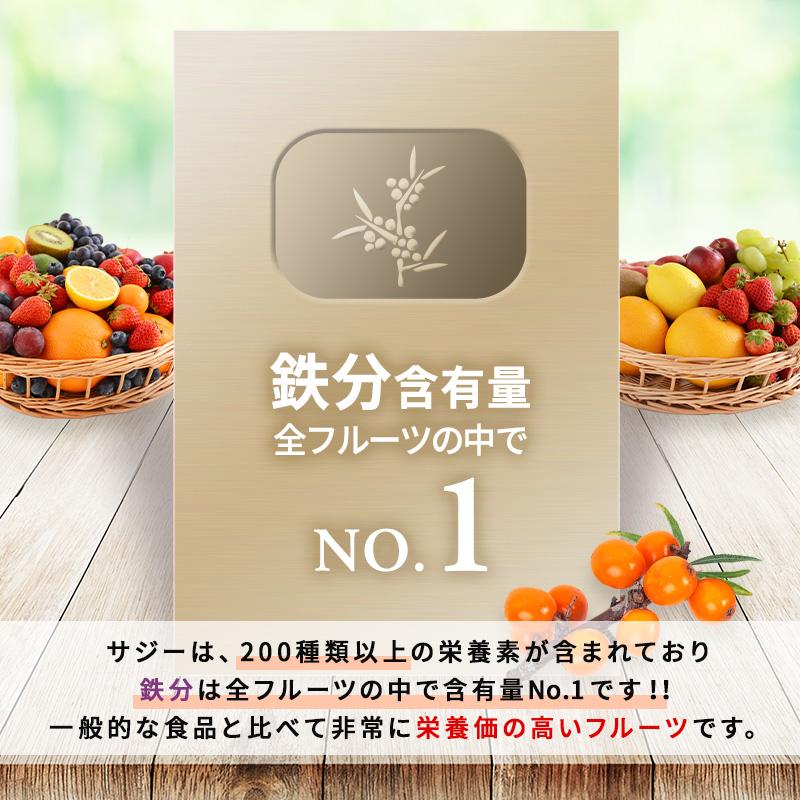 SajiOne サジージュース 柑橘ブレンド 1000ml 4本セット サジーワン