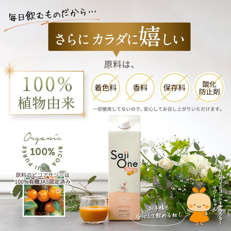 サジージュース 柑橘ブレンド 1000ml 4本セット サジーワン ビタミン 鉄分 オレンジ ジュース 栄養 健康 爆買の画像