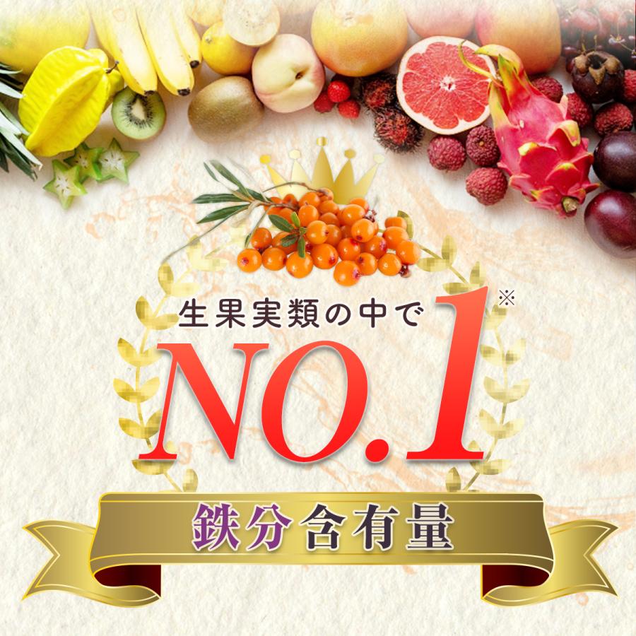 サジージュース すっきり美味しいサジー 1000ml 2本セット 鉄分補給 SajiOne オレンジ ゆず 美容 健康 サジーベリー | SajiOne | 12