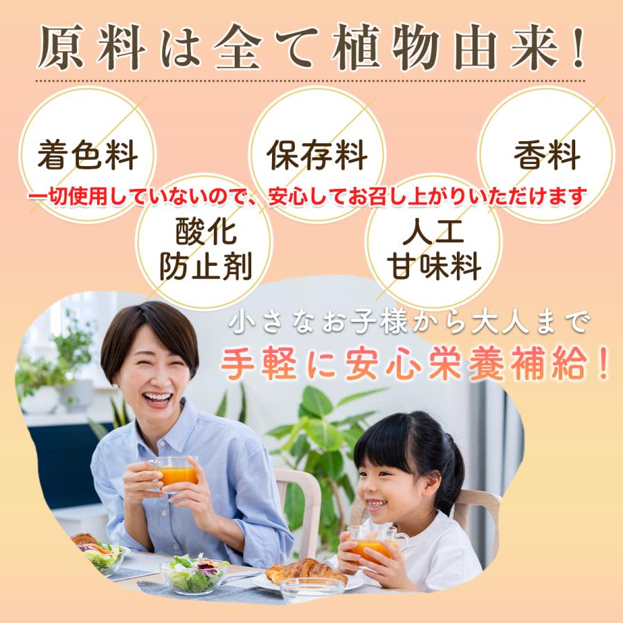 サジージュース すっきり美味しいサジー 1000ml 2本セット 鉄分補給 SajiOne オレンジ ゆず 美容 健康 サジーベリー | SajiOne | 08