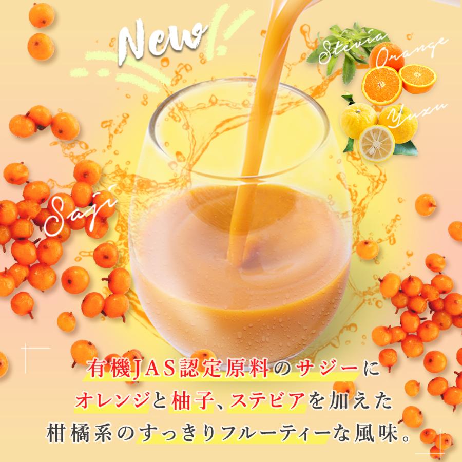 サジージュース すっきり美味しいサジー 1000ml 3本セット 鉄分補給 SajiOne オレンジ ゆず 美容 健康 サジーベリー | SajiOne | 08