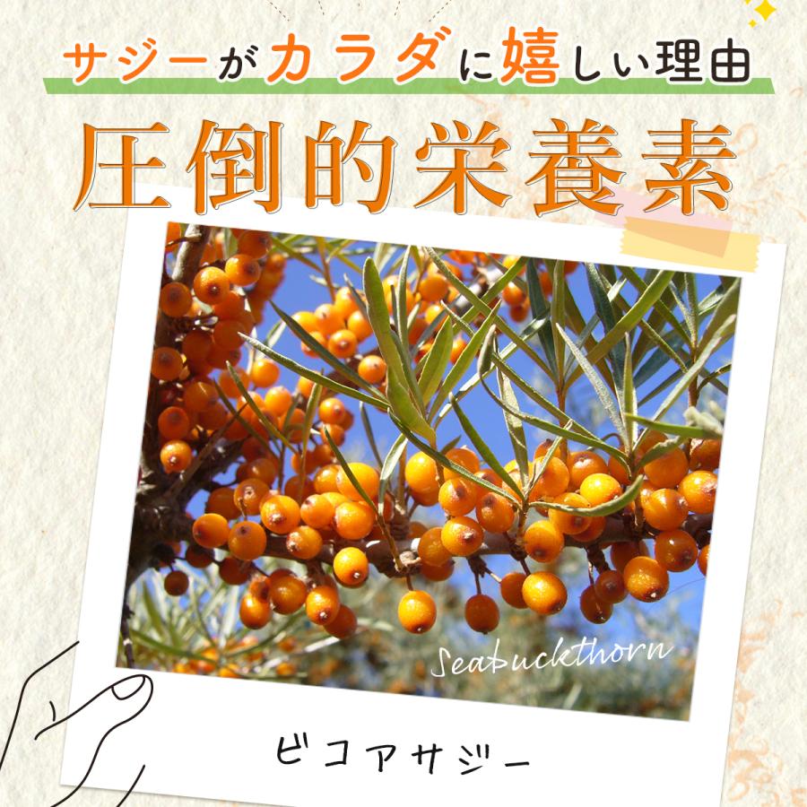 クーポンで10%OFF サジージュース すっきり美味しいサジー 1000ml 4本セット 鉄分補給 SajiOne サジージュース オレンジ ゆず 美容 健康 サジーベリー | SajiOne | 11