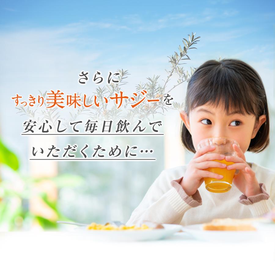 公式 すっきり美味しいサジー 1000ml 4本セット 鉄分補給 SajiOne サジージュース オレンジ ゆず 美容 健康｜curilla｜17