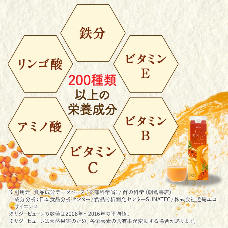 サジージュース すっきり美味しいサジー 1000ml 5本セット 鉄分補給 SajiOne オレンジ ゆず 美容 健康 飲みやすい サジーベリー | SajiOne | 09