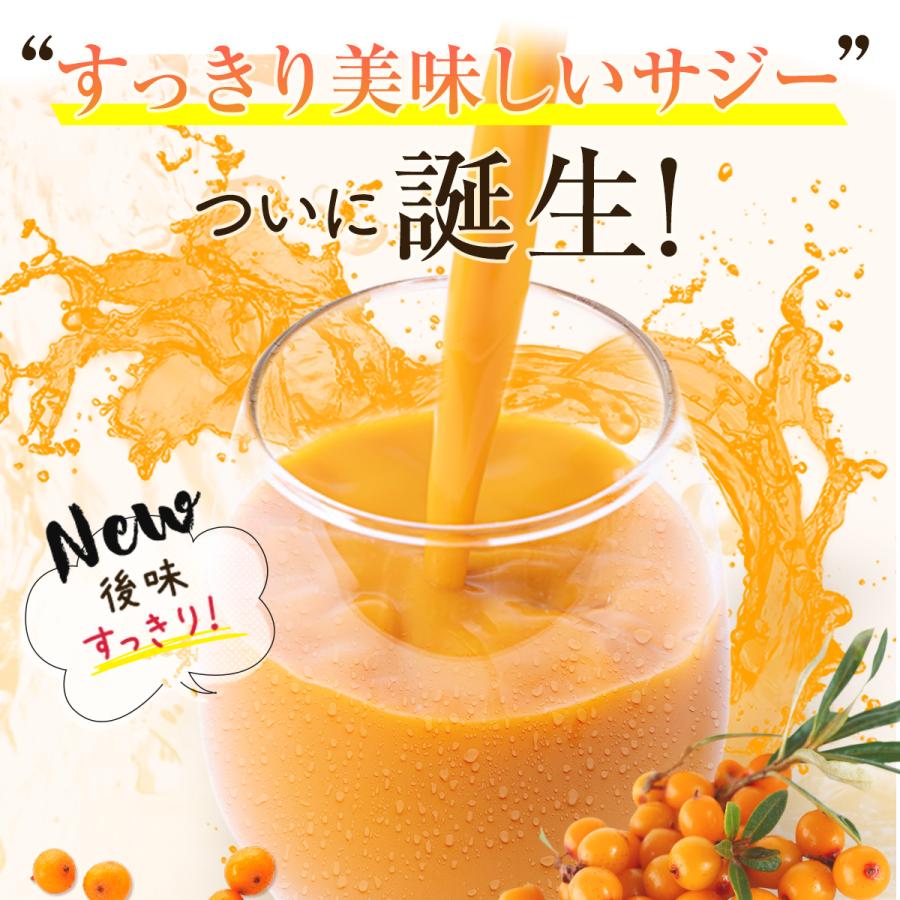サジージュース すっきり美味しいサジー 1000ml 5本セット 鉄分補給 SajiOne オレンジ ゆず 美容 健康 飲みやすい サジーベリー | SajiOne | 02