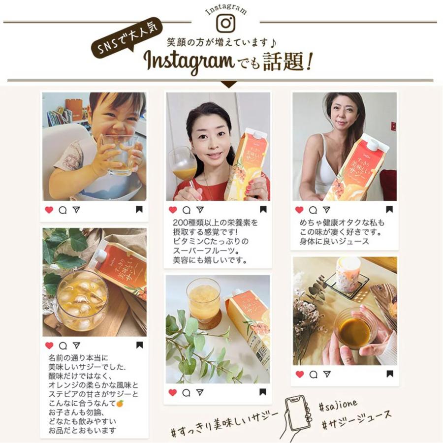 サジージュース SajiOne すっきり美味しいサジー 1000ml 8本セット 鉄分補給 ドリンク サジーベリー 送料無料 紙パック ゆず オレンジ | SajiOne | 05