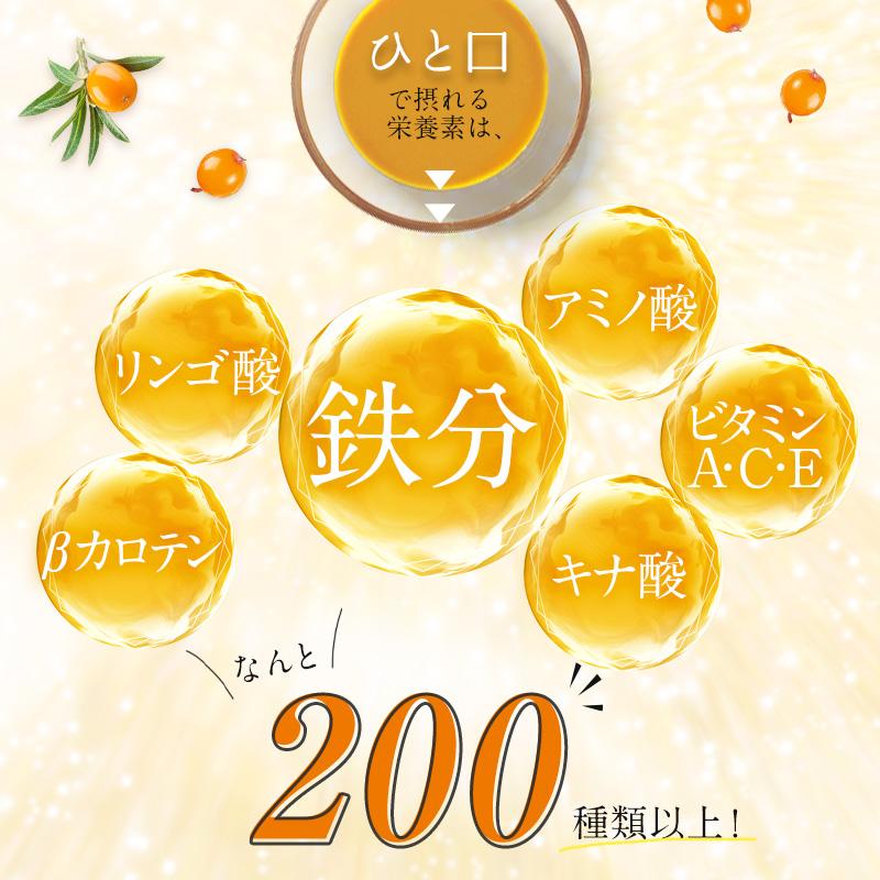 クーポンで20%OFF サジージュース サジーワン すっきり美味しいサジー 柑橘ブレンド 飲み比べセット 1000ml 2本セット 鉄分 オレンジ ゆず 栄養 美容 | SajiOne | 07