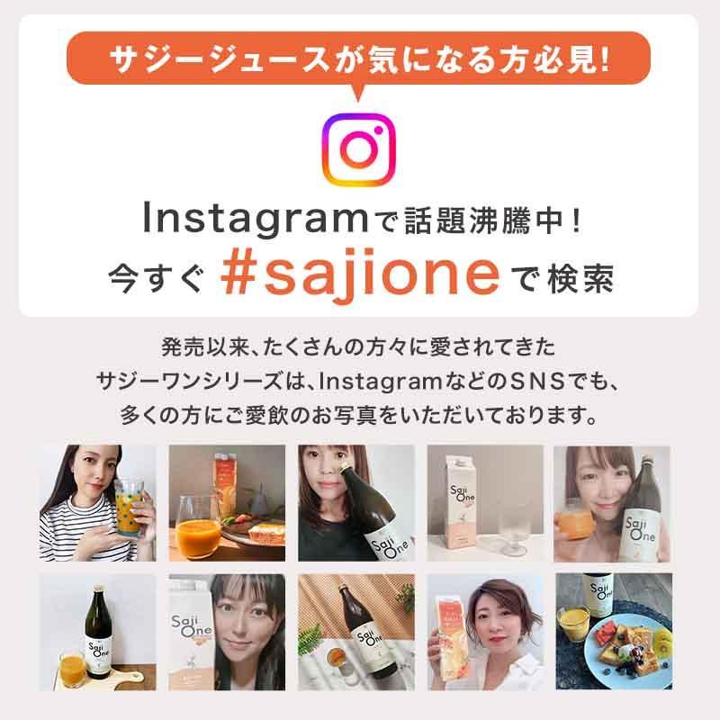 サジージュース サジー ワン SajiOne 【公式】 30ml×10本 お試し オーガニック 鉄分補給 ビタミン | SajiOne | 05