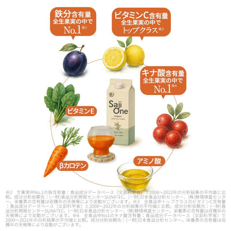 サジージュース SajiOneオーガニック 500ml 4本 ビタミン 栄養 鉄分 美容 サジーワン ジュース 美容ドリンクの画像