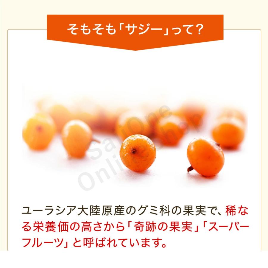 サジージュース SajiOne 2本セット サジーベリー SajiOneオーガニック すっきり美味しいサジー 鉄分 美容 健康 栄養補給 無添加 オレンジ ゆず | SajiOne | 05