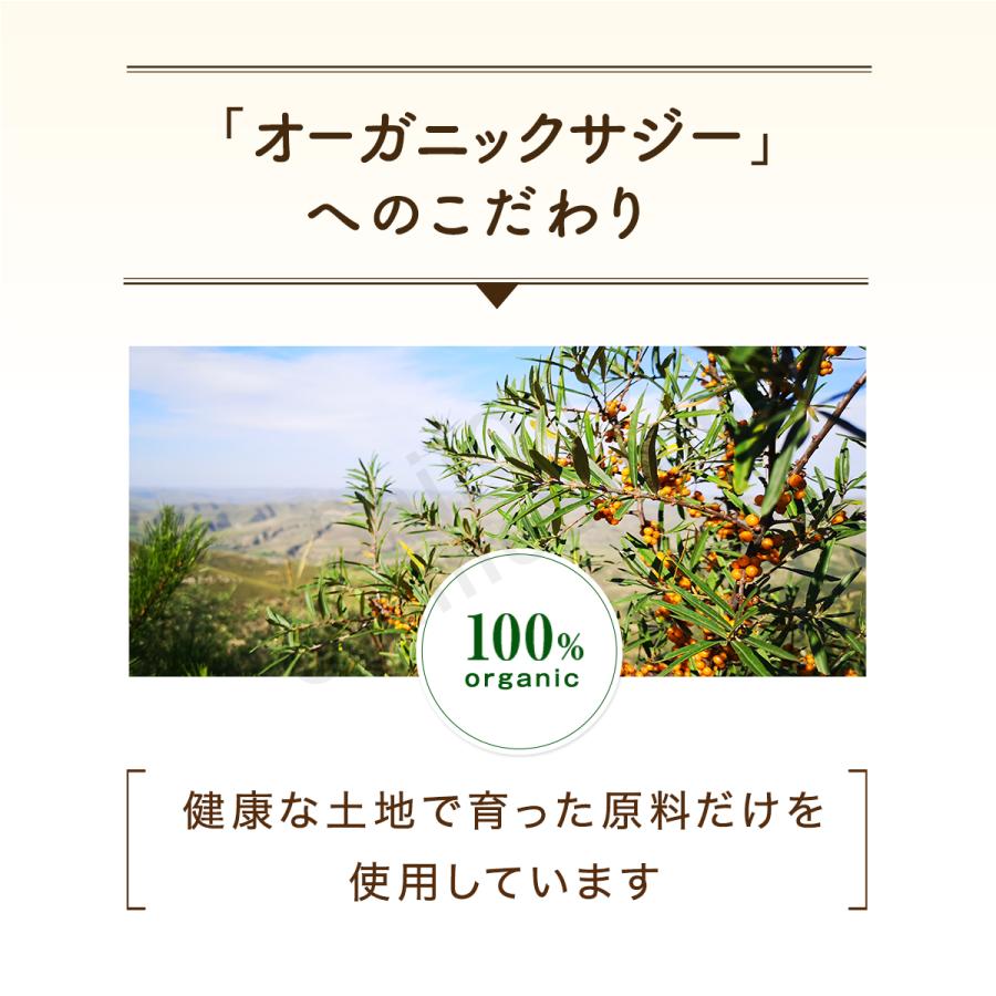 サジージュース SajiOne 2本セット サジーベリー SajiOneオーガニック すっきり美味しいサジー 鉄分 美容 健康 栄養補給 無添加 オレンジ ゆず | SajiOne | 09